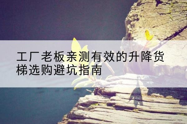 宁晋升降货梯怎么选-工厂老板亲测有效的升降货梯选购避坑指南