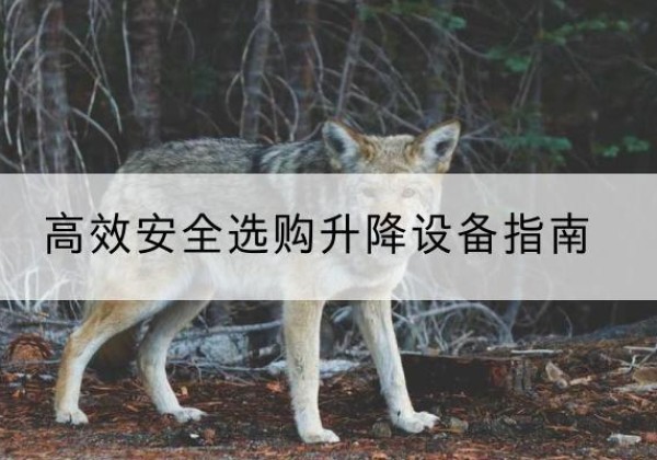 宁晋升降货梯厂家推荐-*安全选购升降设备指南