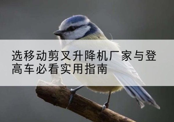 宁晋电动升降机厂家-选移动剪叉升降机厂家与登高车必看实用指南