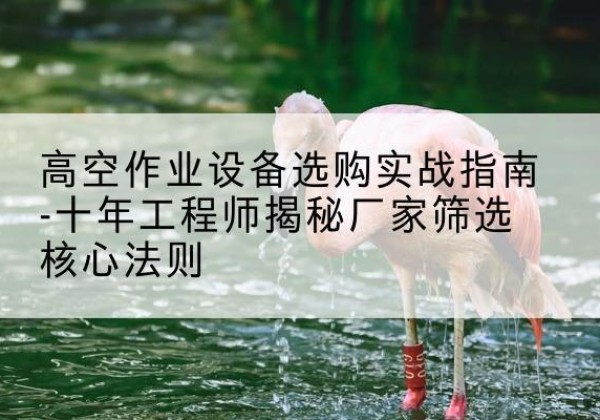 宁晋剪叉式升降机厂家-高空作业设备选购实战指南-十年工程师揭秘厂家筛选核心法则