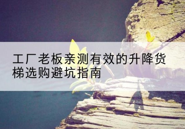 宁晋升降货梯怎么选-工厂老板亲测有效的升降货梯选购避坑指南
